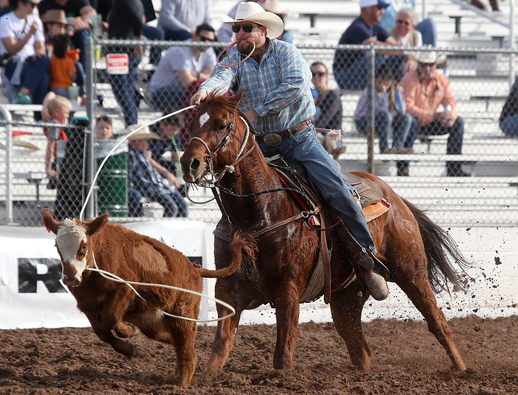 2018 Tucson Rodeo